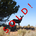 Ranchos del Vado Ranch for Sale New Mexico